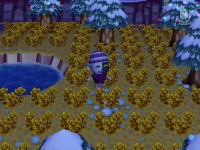 /album/december-2009/ruu-0013-jpg/